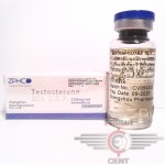 TESTOSTERONE MIX (10ML 250MG/1ML) - ZHENGHOU